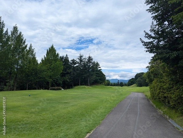 Obraz path in the park