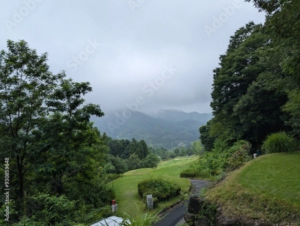 Obraz view from the hill