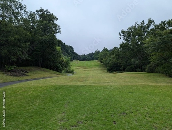 Obraz path in the park