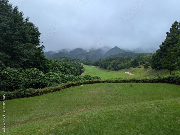 Obraz landscape in the summer