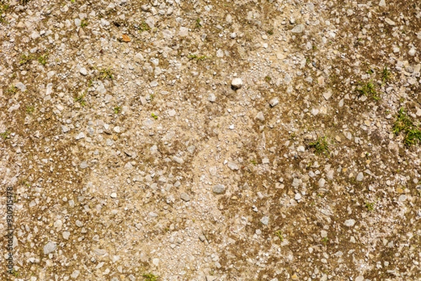 Obraz Rocky Soil Texture with Sparse Greenery