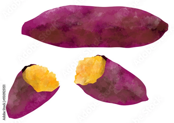 Obraz 焼き芋のイラスト　手描き　水彩風