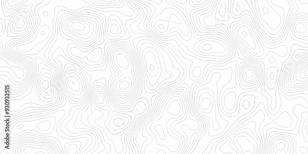 Fototapeta Vector seamless wave stripe topography map pattern camping grid cartography diagram black and white geometric carve wave line. abstract landscape topography line map wavy texture design background.