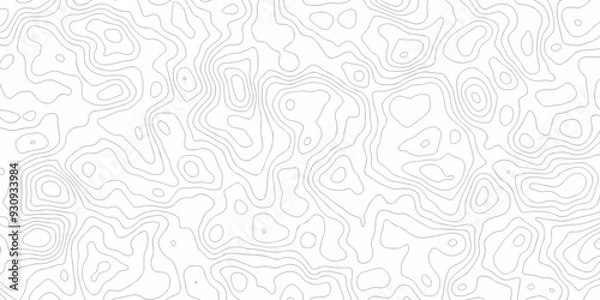Obraz Vector seamless wave stripe topography map pattern camping grid cartography diagram black and white geometric carve wave line. abstract landscape topography line map wavy texture design background.
