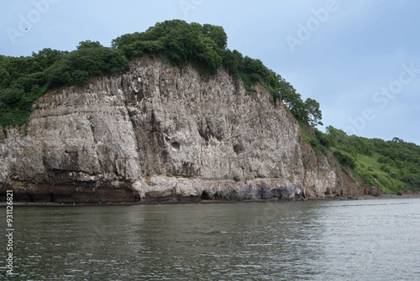 Obraz view from the sea to the shore with a high cliff and vegetation where birds nest