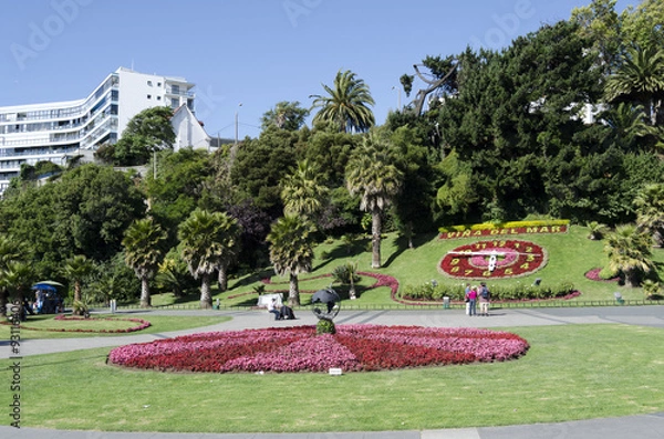 Fototapeta Chile kwiatowe zegara