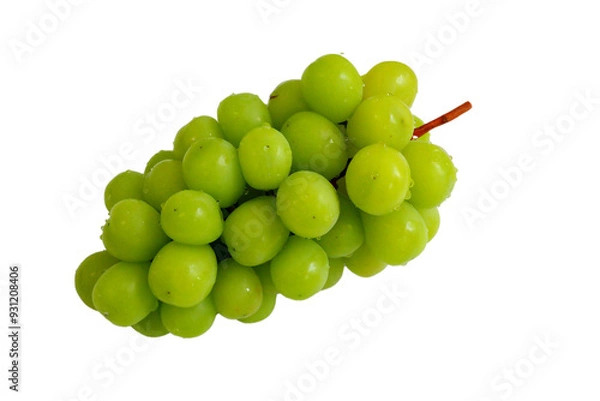 Obraz 샤인머스켓 망고포도 청포도 누끼