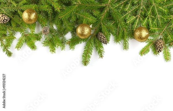 Obraz Tannenzweige - Marketing - Textfreiraum