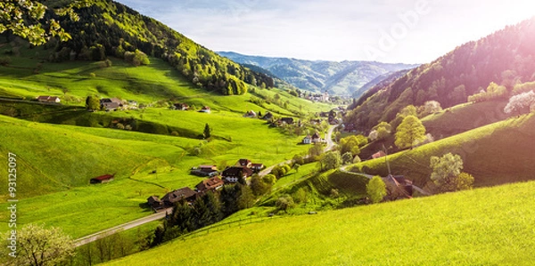 Fototapeta Scenic panorama view of a picturesque mountain village in Germany, Muenstertal, Black Forest. High-resolution summer vacation and ecology background.