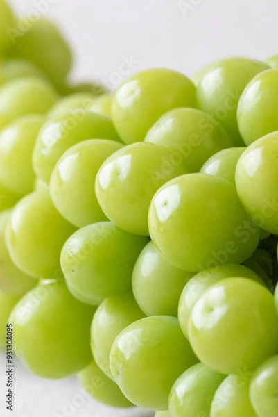 Obraz シャインマスカット