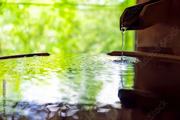 Obraz 源泉かけ流しの温泉、自然の緑背景