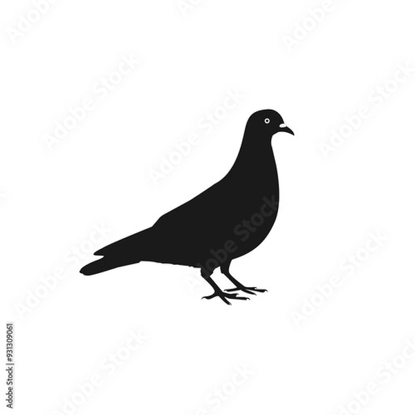 Fototapeta Pigeon vector character on white background