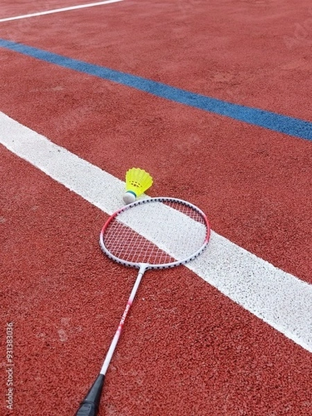 Obraz racket and shuttlecock