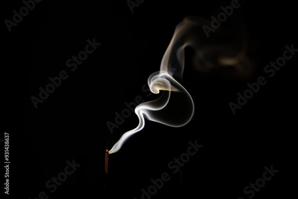 Fototapeta The constantly changing form of smoke
