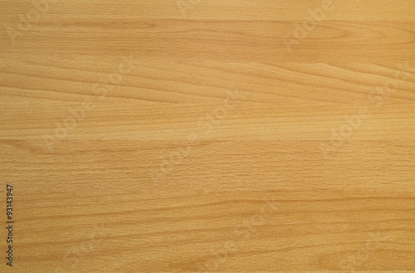 Obraz Background texture of beech