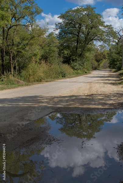 Fototapeta Nature and Reflection in the Paddle