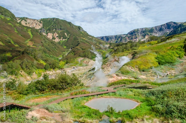 Obraz Камчатка долина гейзеров