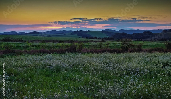 Obraz Summer landscape
