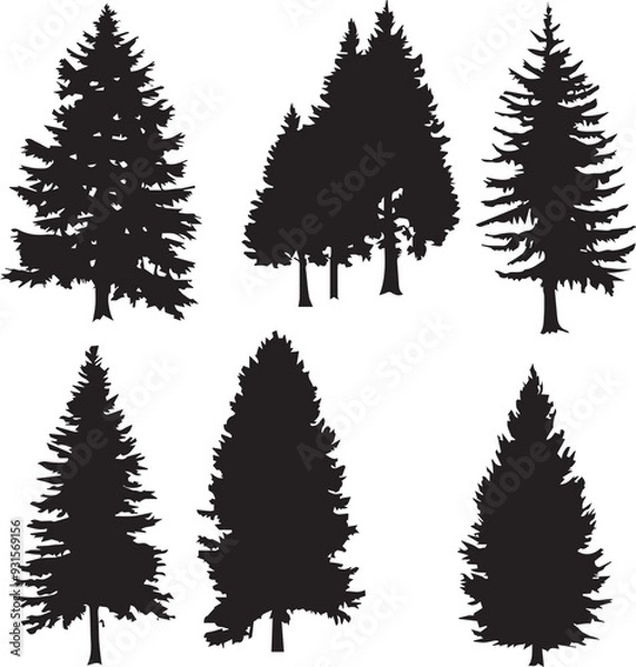 Fototapeta Set of Forest Trees Silhouette