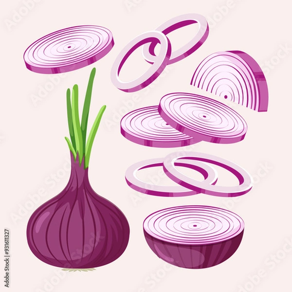 Fototapeta Red onion isolated on white background. Whole root onion and half, slices. Vector vegetables illustration in flat style