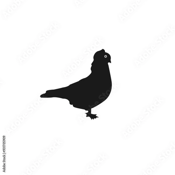 Obraz Pigeon vector 