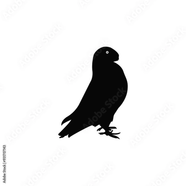 Obraz silhouette of a pigeon