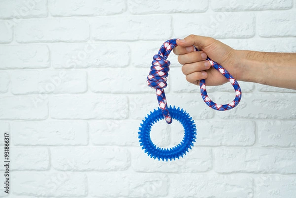 Fototapeta Man hand holding a blue puppy ring toy for teeth with knot tugger. Best dog toys for training and education, and scratching on white background, copy space