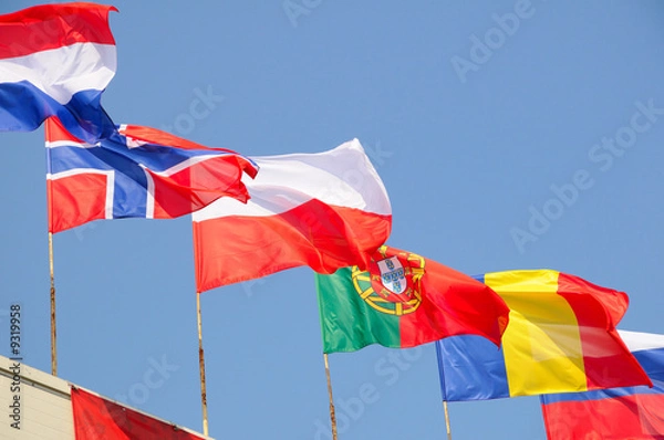 Obraz various national flags flapping in the wind