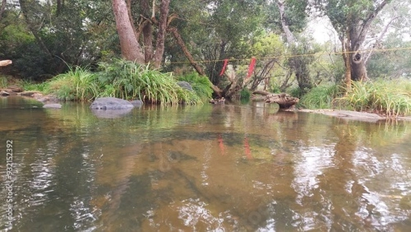 Fototapeta The river kaveri at the Dubare elephant camp at Dubare, Kodagu district, Karnataka, India. People used to cross this river by walk during low level of water to visit elephant camp. 
