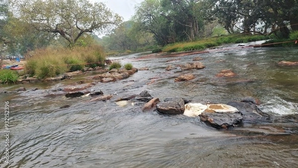 Obraz The river kaveri at the Dubare elephant camp at Dubare, Kodagu district, Karnataka, India. People used to cross this river by walk during low level of water to visit elephant camp. 

