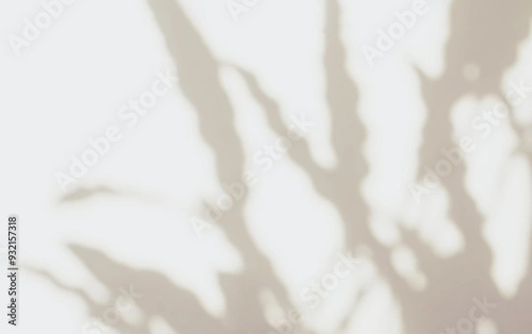 Obraz Abstract silhouette shadow white background of natural leaves tree branch falling on wall. Transparent blurry shadow leaf in morning sun light. Copy space for text.