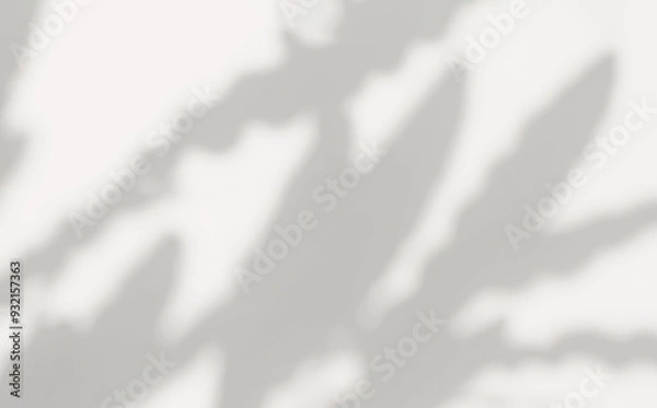 Fototapeta Abstract silhouette shadow white background of natural leaves tree branch falling on wall. Transparent blurry shadow leaf in morning sun light. Copy space for text.