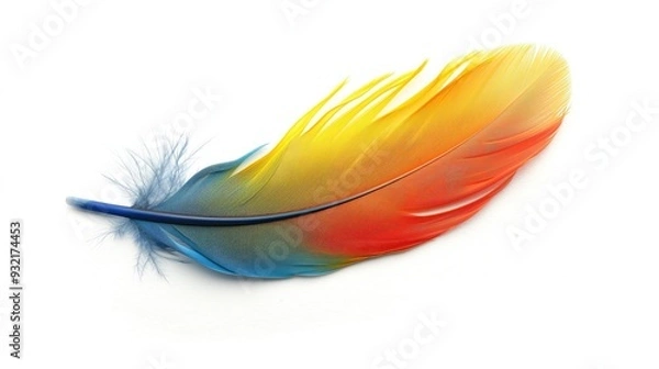 Fototapeta Multi-colored parrot feather on a white background, isolate