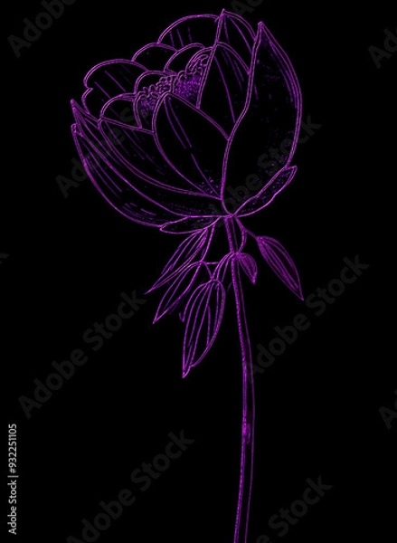 Obraz  Flower on black background. Vector illustration for your design