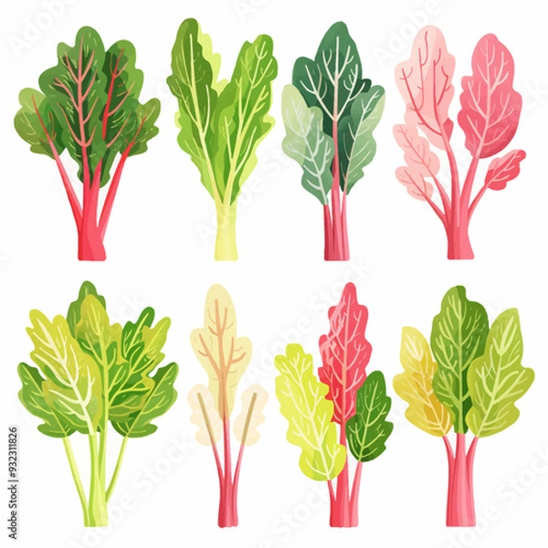 Fototapeta Vector Rhubarb simple and minimali