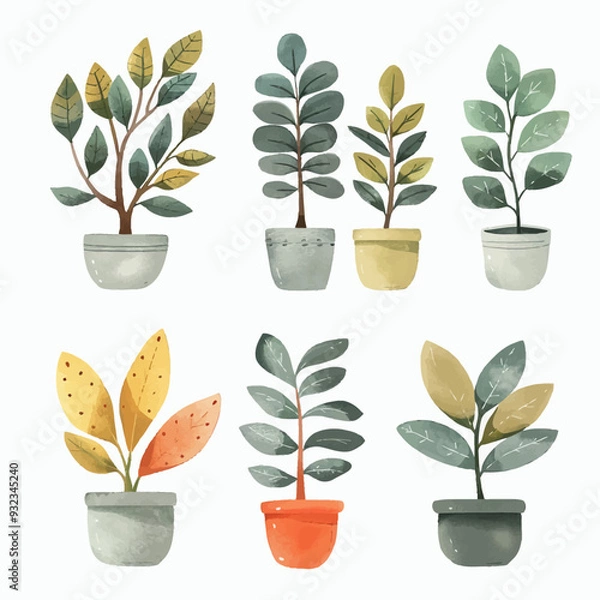 Obraz Vector Ficus simple and minimalist