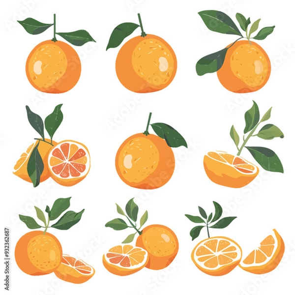 Obraz Vector Tangerine simple and minima