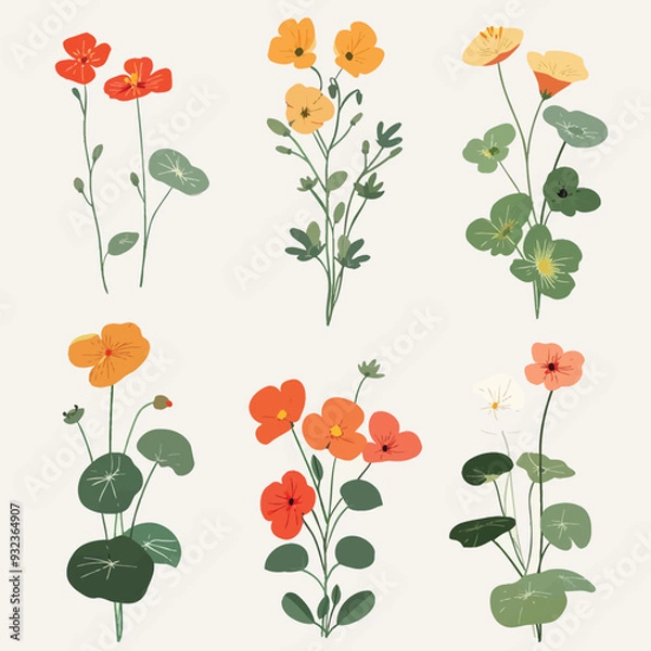 Fototapeta Vector Nasturtium simple and minim