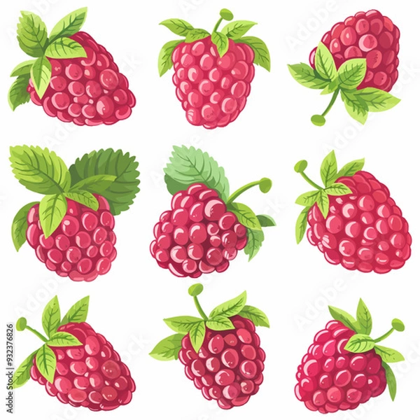 Fototapeta Vector Raspberry simple and minima