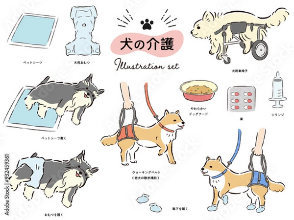 Obraz 犬の介護関連のイラストセット