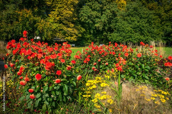 Obraz road in the beautiful garden