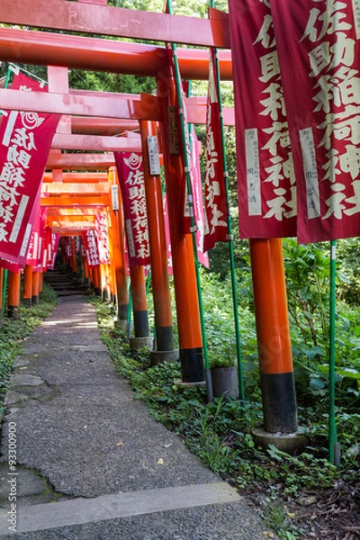 Obraz Sasukeinari Shrine