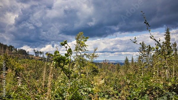 Obraz Ein Windradpark im Sommer bei Eisenach.