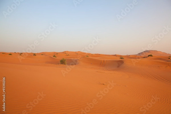 Obraz Red sand desert