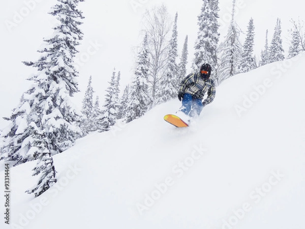 Fototapeta snowboarder freerider