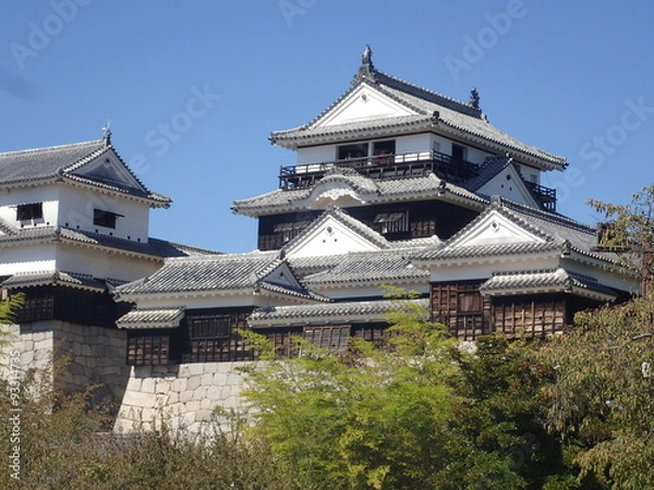 Fototapeta 昼の松山城