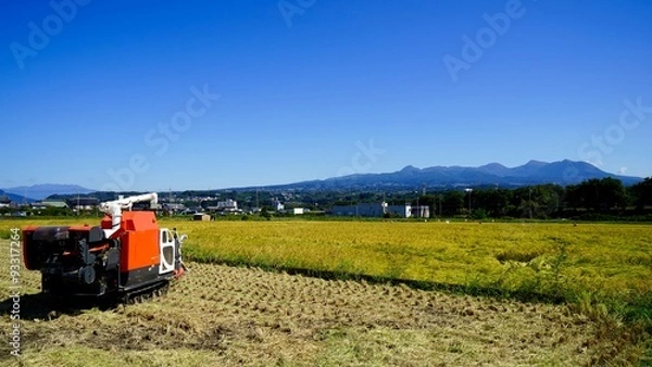 Fototapeta 赤城山と農業