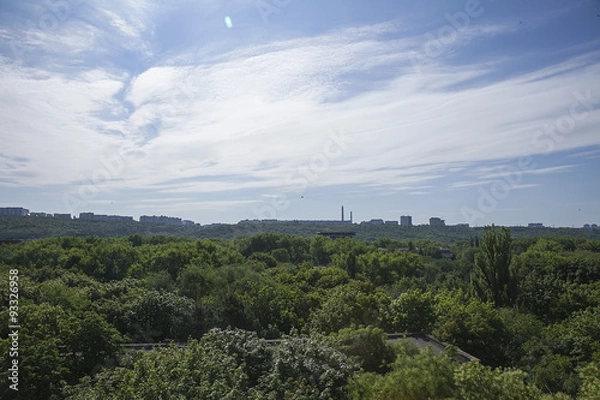 Obraz Облака, лес, природа, небо.