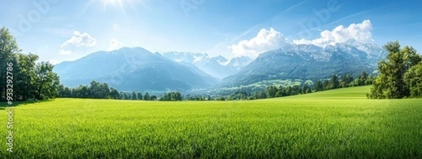 Obraz  A lush green field with trees in the foreground and mountains and a bright blue sky with clouds overhead