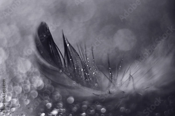 Fototapeta капли